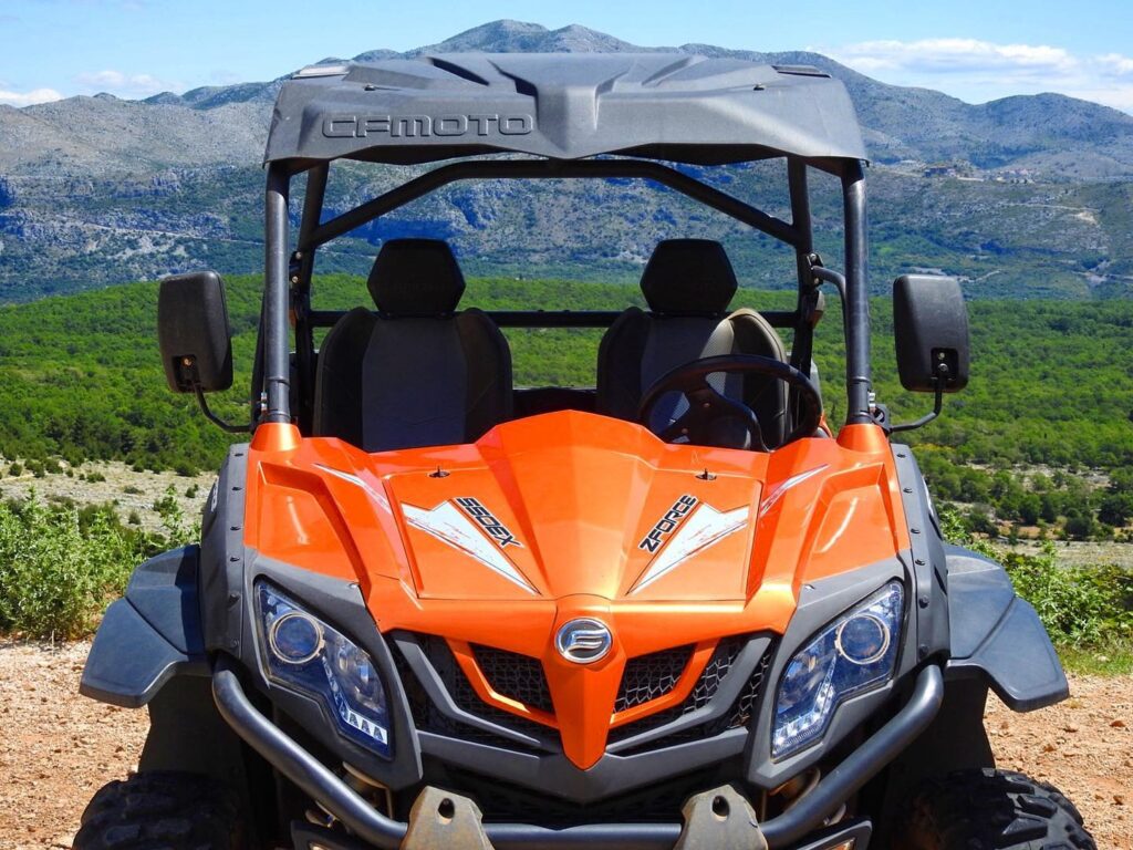Buggy - Adrenaline Lover