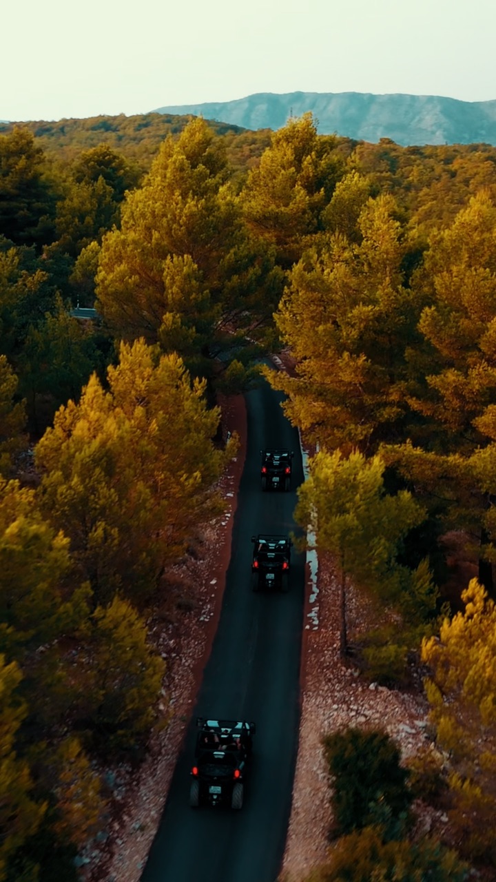 Aerial view of buggies driving in a convoy through pine trees on Mount Srđ above Dubrovnik